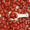 Suministro de fruta fresca de azufaifa fresca al por mayor de concentrado de fecha roja de la mejor calidad